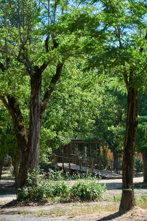 Camping Rives D'arc Vallon-Pont-dʼArc